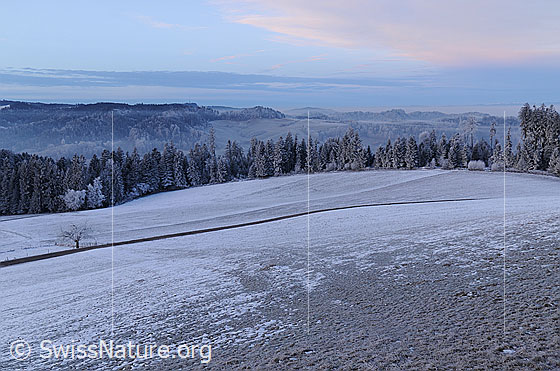 Foto: Winterliche Landschaft des Emmentals mit Raureif an Wäldern und auf den Feldern. Am Morgenhimmel sind Wolkenfelder im Morgenrot zu sehen.