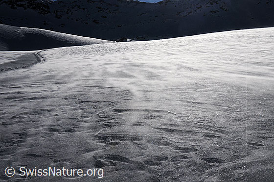 Foto: Wind treibt lockeren Schnee über die Schneefläche. Die Skispur im Hintergrund wird bald zugeweht sein.