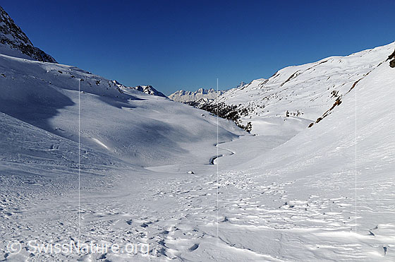 Foto: Schneebedecktes Hochtal mit unberührter Hochebene durch welche sich ein Bach schlängelt. Die Schneeoberfläche im Vordergrund weist Strukturen auf.