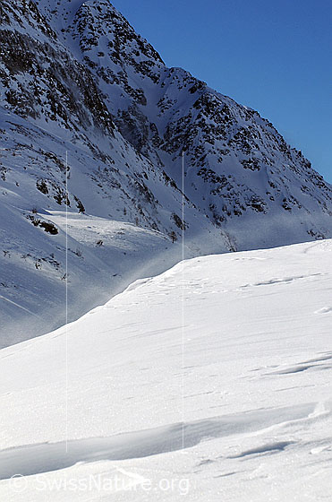 Foto: Schneeverfrachtung an Geländekante. Der lockere Schnee wird vom Föhnsturm über die Kante geblasen.