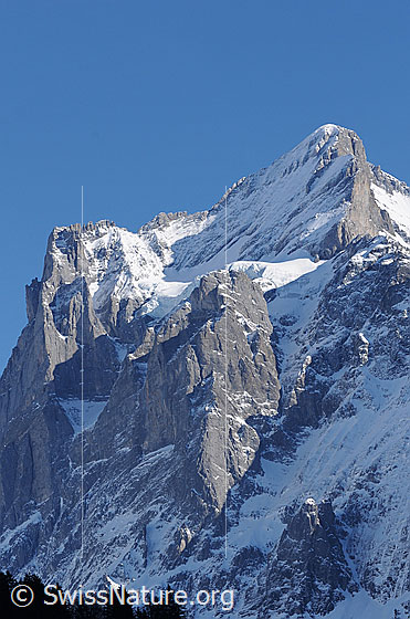 Foto: Scheideggwetterhorn und Wetterhorn