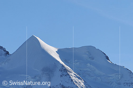 Foto: Silberhorn und Goldenhorn. Dazwischen der Silberhorngletscher.
Silberhorn: Die Nordwestrippe (Hornby-Grat) fällt vom Gipfel nach rachts ab.
Goldenhorn: Vom rechten Bildrand zieht sich der Rotbrättgrat (Nordwestgrat)