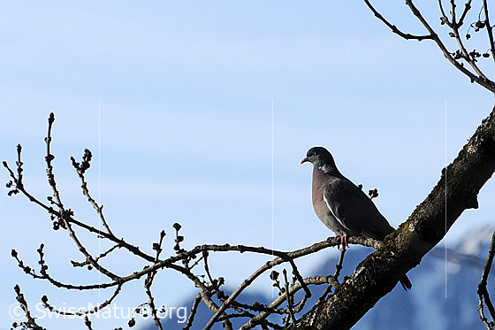 Photo: 