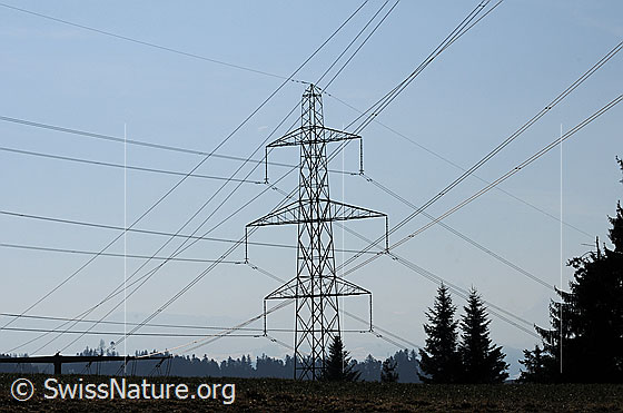 Foto: Hochspannungsleitungen und Hochspannungsmasten.
