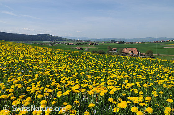 Photo: 