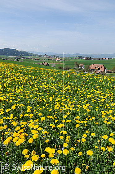 Photo: 