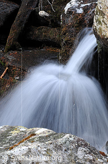 Foto: Wasserstrahl (Langzeitbelichtung). Das Wasser schlägt auf einem Felsblock auf und ergiesst sich in regelmässigen Strahlen über den Block.