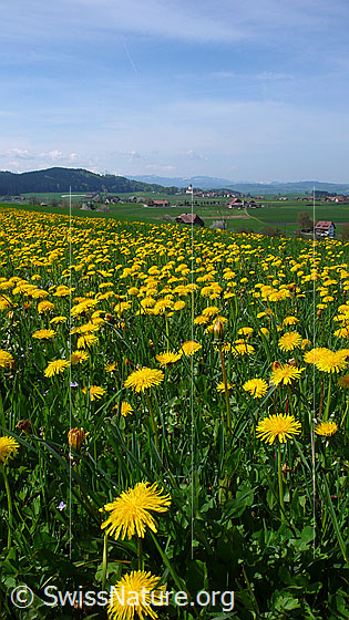 Photo: 