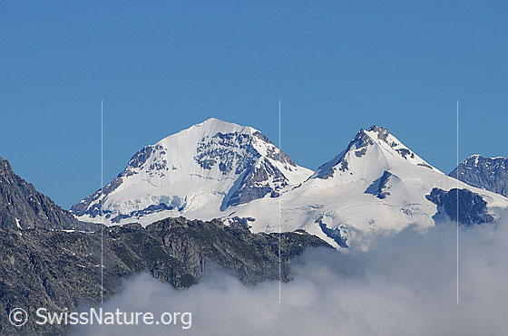 Foto: Mönch, Trugberg und Eiger von Süden mit Nebelschwaden im Vordergrund.
Am Mönch links der Südwestgrat (SW-Grat), rechts der Ostgrat (E-Grat), dazwischen die Südwand (S-Wand).