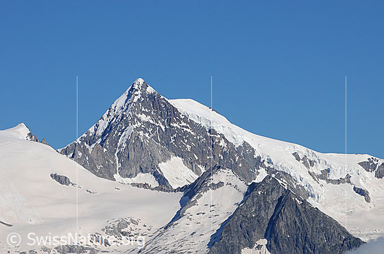 Foto: Aletschhorn und Zenbächenhorn von Süden mit Zenbächengletscher.
Am Aletschhorn: Links die Südwest-Rippe (SE-Rippe), rechts der Nordostgrat (NE-Grat), in der Falllinie des Gipfels der Südostgrat (SE-Grat)