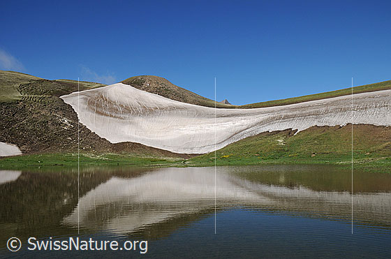 Foto: Schneefeld mit Spiegelung in klarem Bergsee. Das Ufer ist saftig Grün. Im Hintergrund ist eine Bergspitze erkennbar.