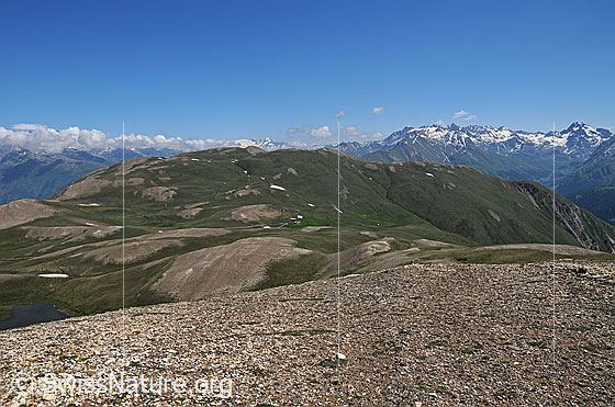 Foto: Breithorn und Alp Furggerchäller. Aufnahme ca. von Pt. 2582, Chalti Wassre.
Auf die Fläche oberhalb und rechts der Gebäude von Alp Furggerchäller kommt das östliche Feld von Grengiols Solar zu liegen.