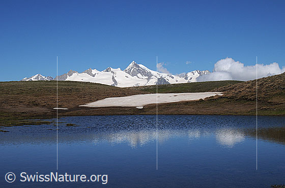 Foto: Gross Fusshorn, Rotstock, Driestgletscher, Geisshorn, Zenbächengletscher, Aletschhorn und Dreieckhorn mit Quellwolken. Davor blauer Bergsee mit schwacher Spiegelung und einem Schneefeld am Ufer.