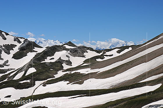Foto: Saflischpass im Aufstieg vom Saflischtal.
Vermutlich wird durch diese Landschaft die temporäre Transportbahn von der Strasse über den Simplonpass zum Standort von Grengiols Solar führen.