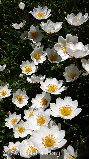 Photo: 