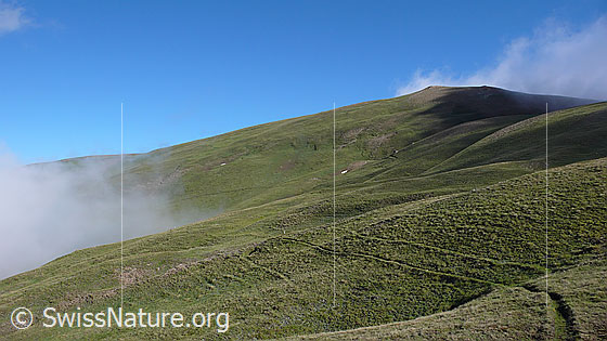 Foto: Bergweg Breithorn Kreuz Richtung Alp Furggerchäller.
Der Bergwerg führt mitten durch den Perimeter des östlichen Feldes von Grengiols Solar.