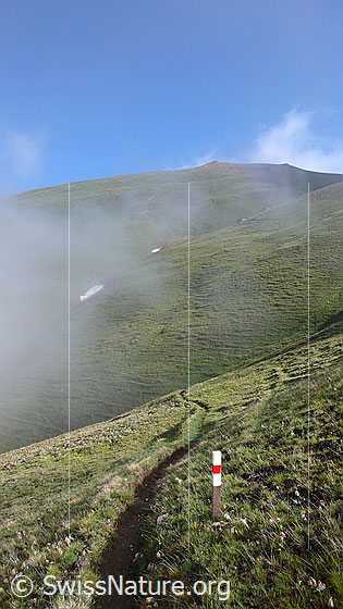 Foto: Ein markierter Bergweg führt als schmaler Pfad durch Alpweiden. Nebelschwaden verleihen der lieblichen Berglandschaft eine geheimnisvolle Stimmung.
Bergweg Breithorn Kreuz Richtung Alp Furggerchäller.
Der Bergwerg führt mitten durch den Perimeter des östlichen Feldes von Grengiols Solar.