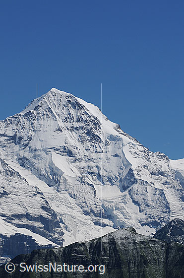 Foto: Portrait Mönch. 
Gletscher: Eigergletscher