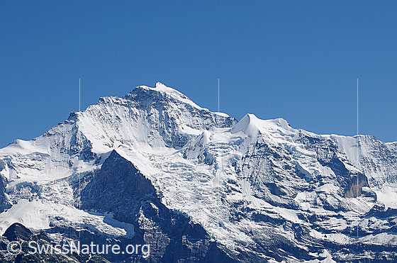 Foto: Jungfrau und Silberhorn
Gletscher: Links der Guggigletscher, Giesengletscher und Silberhorngletscher.
