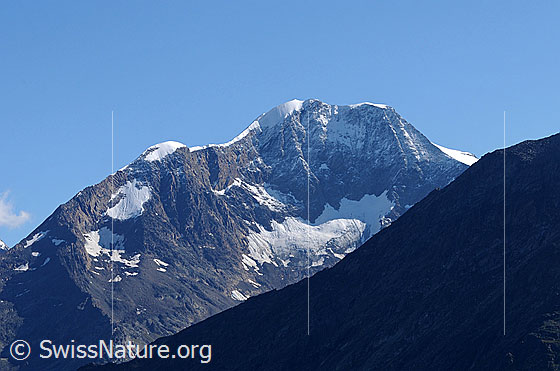 Foto: Weissmies von SW.
Davor der Rottalgletscher.