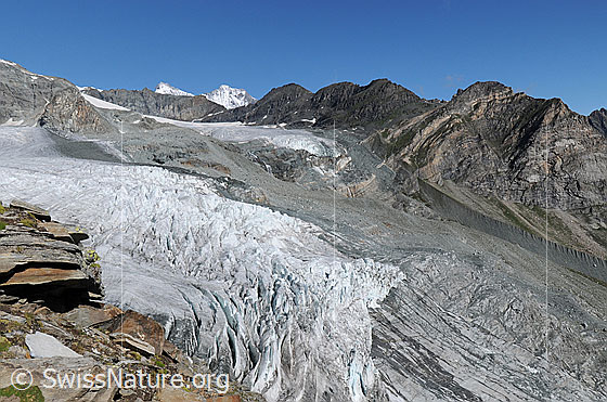 Foto: Allalingletscher und Hohlaubgletscher mit Gletscherzunge, Gletscherabbruch, Gletscherschliff und Seitenmoräne. Im Hintergrund sind die Viertausender Täschhorn und Dom zu sehen.