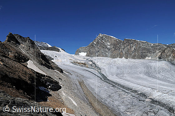 Foto: Üssere Turu und Allalingletscher.
Gletscherlandschaft mit Allalingletscher. 
Gipfel: Üssere Turu, Rimpfischhorn, Allalinpass und Allalinhorn.