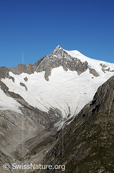 Foto: Aletschhorn und Mittelaletschgletscher mit Gletscherzunge und Gletschervorfeld im Taleinschnitt. Die Gletscherzunge verfügt über eine Obermoräne.