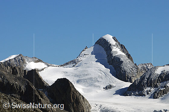 Foto: Oberaarhorn, Studergletscher und Galmigletscher. Am Fuss des Oberaarhorns ist der Einschnitt des Oberaarjochs und etwas darüber die Oberaarjochhütte zu sehen. Links der Altmann.