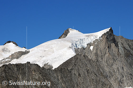 Foto: Rotstock, Geisshorn und Sattelhorn. Davor der Zenbächengletscher.
