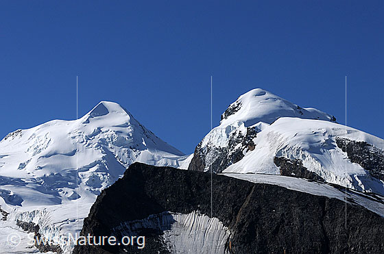 Foto: Die Zwillinge Castor und Pollux mit Klein Pollux im Vordergrund.