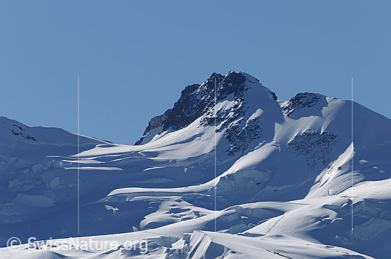 Foto: Monte Rosagletscher, Silbersattel und Dufourspitze. Die Normalroute führt von rechts über den Westgrat (W-Grat) zum Gipfel der Dufourspitze. Eine weitere Route führt von links vom Silbersattel über die Nordflanke (N-Flanke) und den Ostgipfel zum höchsten Gipfel der Schweiz.