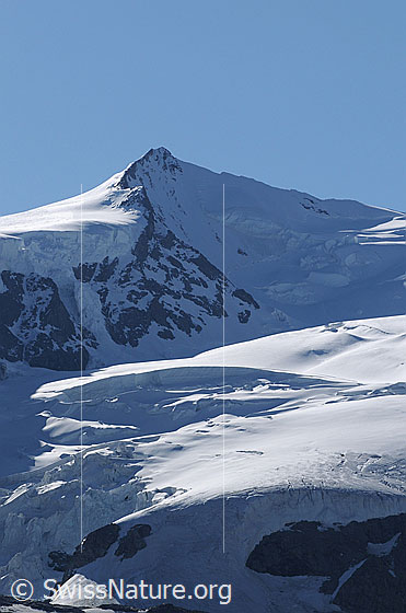 Foto: Nordend und Monte Rosagletscher. Die Normalroute führt von rechts vom Silbersattel über den Südgrat (S-Grat) zum Gipfel.
In der Fallinie des Gipfels ist der Westsporn (W-Sporn, sog. Morshead-Sporn) zu sehen, über welchen eine schwierige Route zum Gipfel führt.