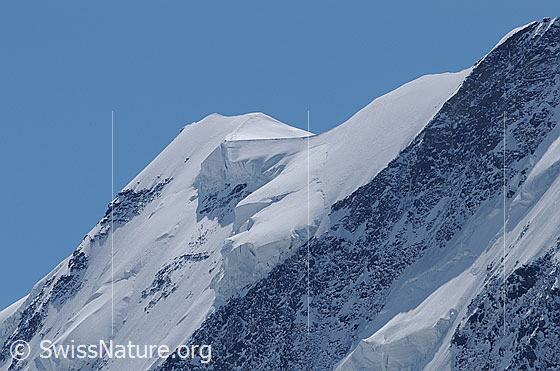 Foto: Ostgipfel des Liskamm. 
Links die Nordostwand (NE-Wand) durch welche die sog. Neruda-Klucker-Route führt. Auf dem nach rechts führenden Schneegrat sind Spuren zu sehen, welche zum Westgipfel führen. Die Nordostwand ist mit mächtigen Hängegletschern bestückt.