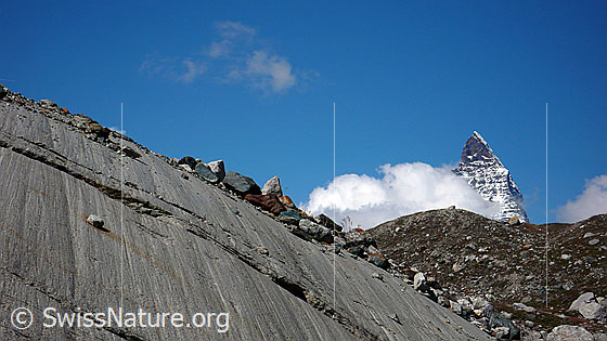 Foto: Mit wenig Geröll bedeckter Gletscherschliff am Rand des Gornergletschers. Rechts die Spitze des Matterhorns.
