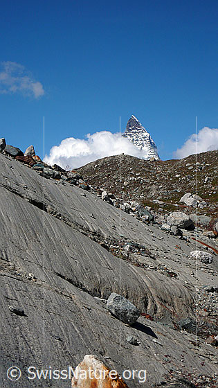 Foto: Mit wenig Geröll bedeckter Gletscherschliff am Rand des Gornergletschers. Rechts die Spitze des Matterhorns.
