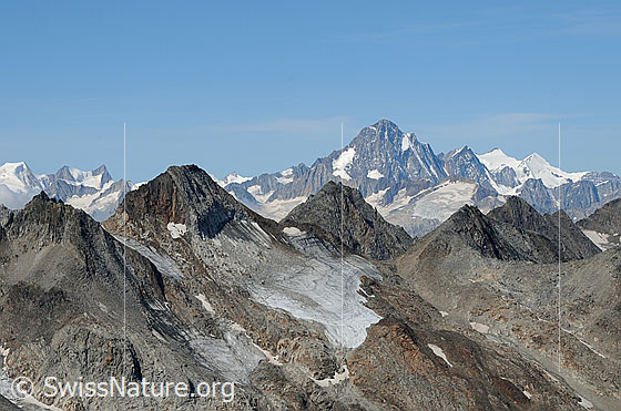 Foto: Berglandschaft mit Chli Leckihorn, Gross Leckihorn, Leckipass, Muttenhörner, Finsteraarhorn, Stellibodenhorn und Witenwasserengletscher.