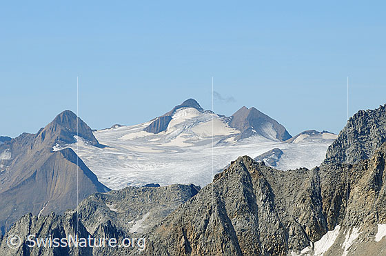 Foto: Blinnenhorn und Griesgletscher mit Felsgrat im Vordergrund.