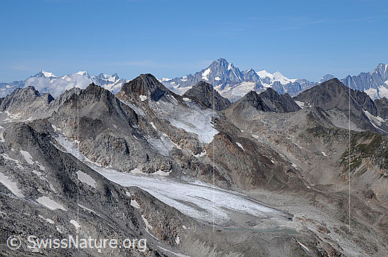 Foto: Witenwasserengletscher, Chli Leckihorn, Gross Leckihorn, Muttenhörner, Finsteraarhorn, Stellibodenhorn. Im Hintergrund die Berner Alpen.