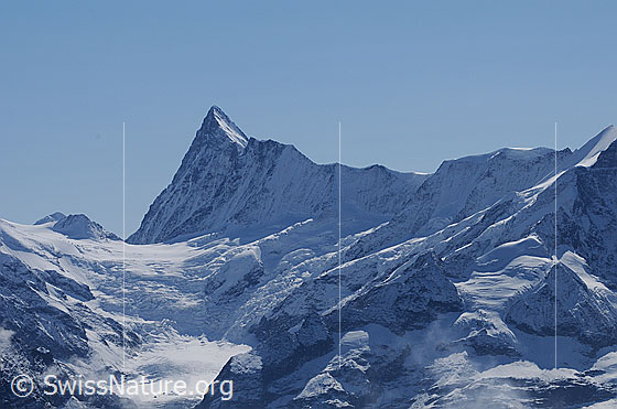 Foto: Finsteraarhorn und Agassizhorn. 
Rechts vom Agassizhorn der Fieschergrat.
Links vom Finsteraarhorn das Finsteraarjoch und der Gletscher Obers Ischmeer.
Im rechten Bildteil: Links die sonnenbeschienene Gletscherzunge der Gipfel Pfaffestecki.