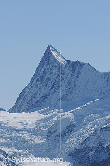 Foto: Portrait Finsteraarhorn und Agassizhorn. 
Gletscher: Obers Ischmeer.