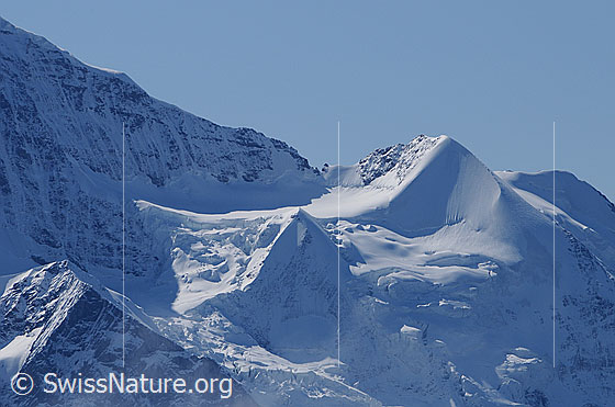 Foto: Schneehorn, Chlys Silberhorn und Silberhorn
Gletscher: Giesengletschere und Silbermulde