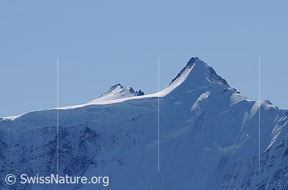 Foto: Portrait Hinter Fiescherhorn und Gross Fiescherhorn.
Dazwischen die Hochfläche des Walliser Fiescherfirn.
Davor die Fiescherwand.