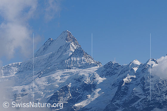 Foto: Schreckhorn, Klein Schreckhorn, Gwächta, Ankenbälli und Mättenberg.
Gletscher: Links Oberer Grindelwaldgletscher, rechts Wächselgletscher.