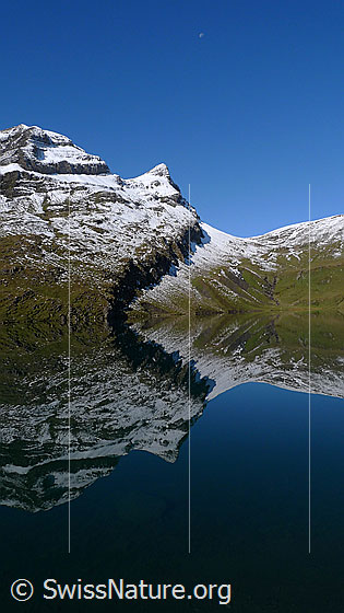Foto: Spiegelung Bachalpsee.