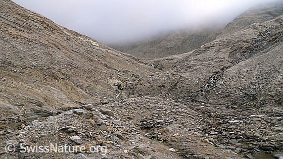 Foto: Geheimnisvolles Tal mit Morgennebel.
Geheimnisvolle Stimmung mit Morgennebel in einem urtümlichen Hochtal. Das Tal verläuft durch eine Felslandschaft mit Wasserläufen und zahlreichen Steinen in unterschiedlicher Farbe und Gesteinsart.