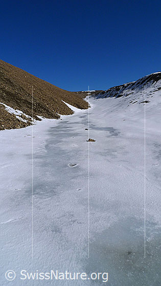 Foto: Enges Hochtal mit Geröllhalde und Gletscherrest im Permafrostgebiet.