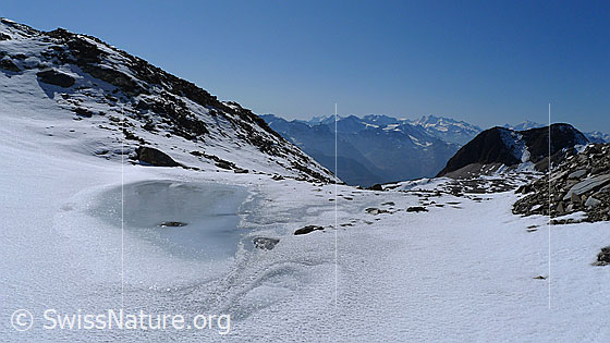 Foto: Plateau mit kleinem Gletscherrandsee und Ausblick auf Holzjihorn und die Walliser Alpen.