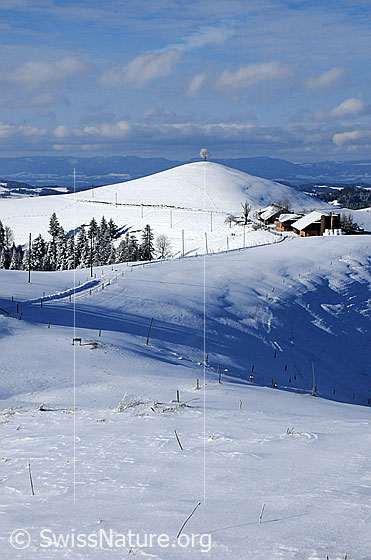 Foto: Neuschnee in Hügellandschaft.
Winterlandschaft auf einer Alp im Emmental. Ein schneebedeckter Fahrweg führt an einem Alpbetrieb und einem Hügel mit Baum vorbei. Der Wald ist frisch verschneit. Im Hintergrund ist die Jurakette erkennbar.