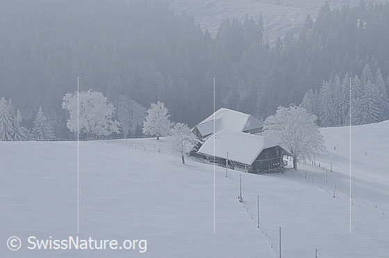 Foto: Bauernhof in Winterlandschaft.
Offene Schneefläche mit Bauernhof und Bäumen, welche mit Raureif überzogen sind. Durch einen Nebelschleier ist der verschneite Wald im Hintergrund erkennbar.