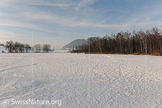 Foto: Gefrorener See mit Schneedecke. Im Hintergrund ist eine Hecke und der Auenwald am Gerzensee zu sehen.